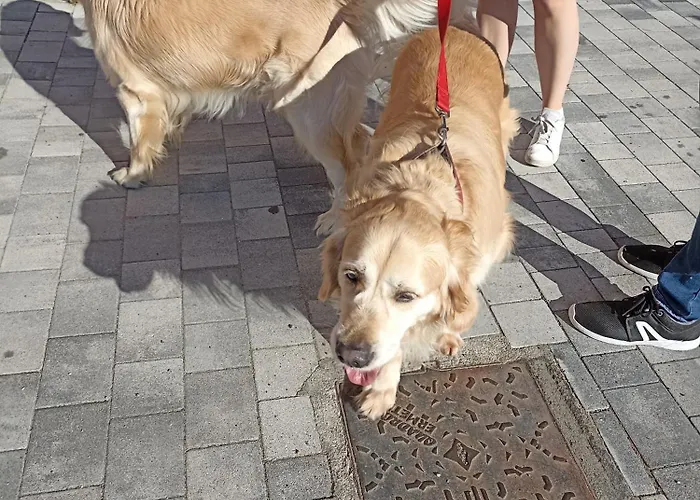 Casa Gramsci Bed & Breakfast *